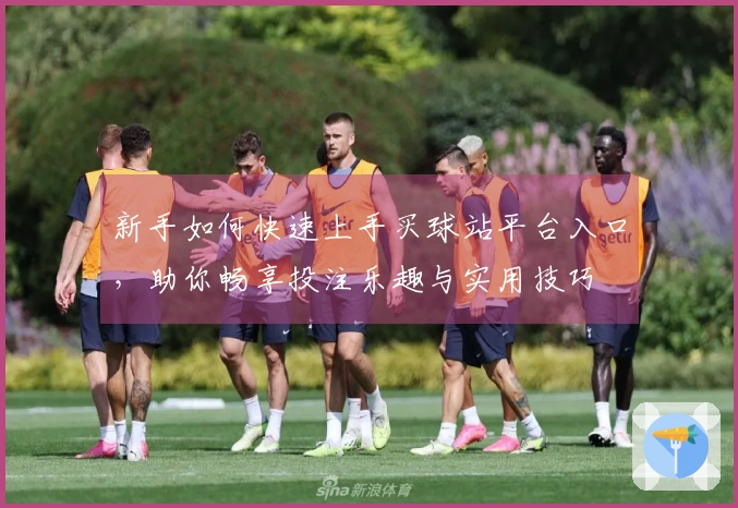 新手如何快速上手买球站平台入口，助你畅享投注乐趣与实用技巧