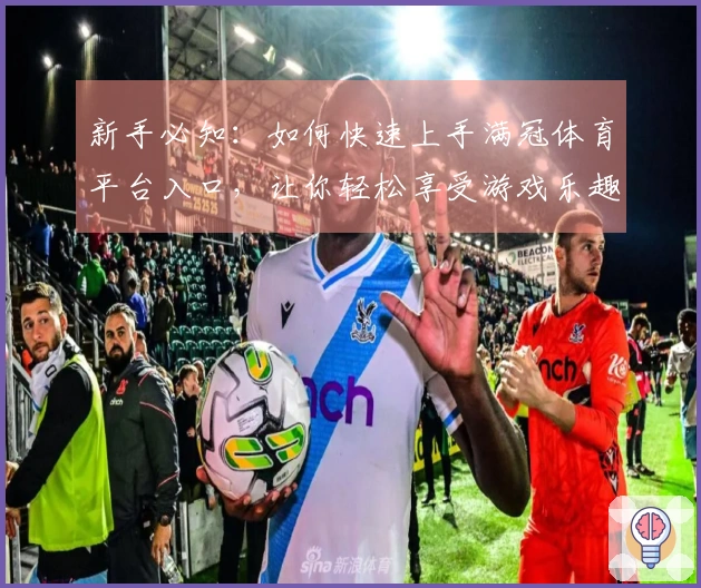 新手必知：如何快速上手满冠体育平台入口，让你轻松享受游戏乐趣！