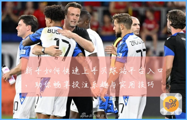 新手如何快速上手买球站平台入口，助你畅享投注乐趣与实用技巧