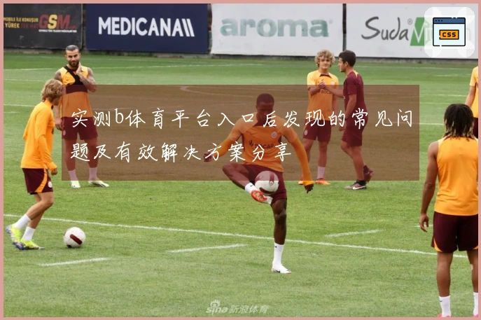 实测b体育平台入口后发现的常见问题及有效解决方案分享